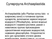 Супергрупа Archaeplastida Archaeplastida (або Plantae sensu lato - в широкому...