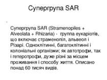 Супергрупа SAR Супергрупа SAR (Stramenopiles + Alveolata + Rhizaria) - группа...