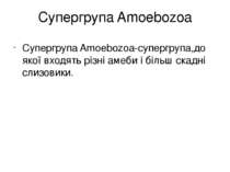 Супергрупа Amoebozoa Супергрупа Amoebozoa-супергрупа,до якої входять різні ам...