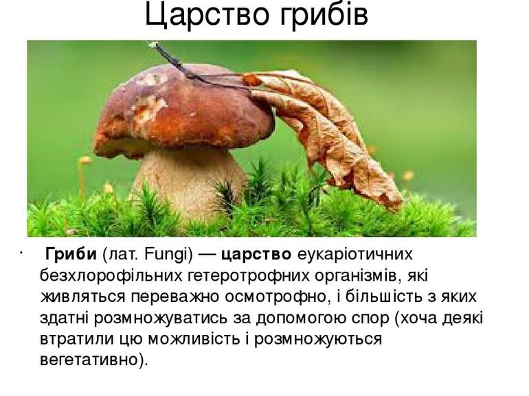 Царство грибів  Гриби  (лат. Fungi) — царство еукаріотичних безхлорофільних г...