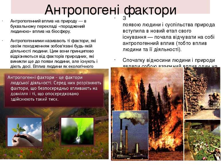 Антропогені фактори Антропогенний вплив на природу — в буквальному перекладі ...