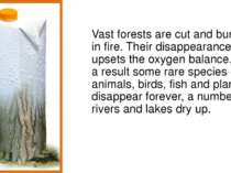 Vast forests are cut and burn in fire. Their disappearance upsets the oxygen ...