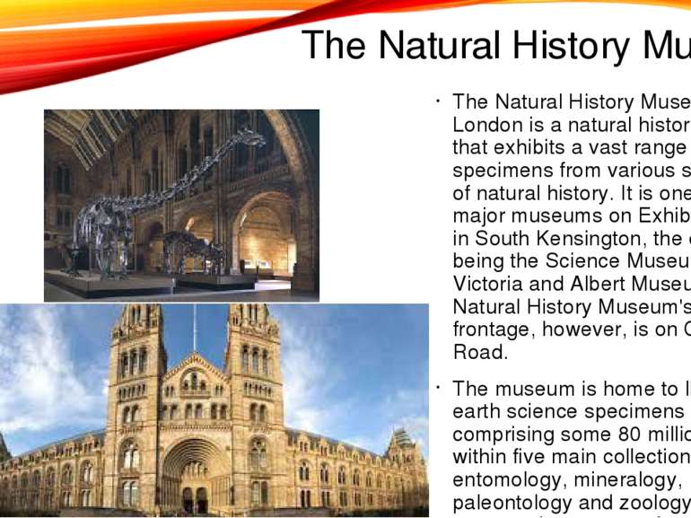 The Natural History Museum The Natural History Museum in London is a natural ...