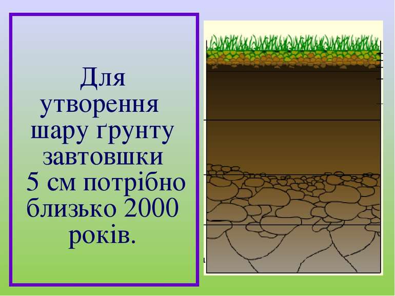 Для утворення шару ґрунту завтовшки 5 см потрібно близько 2000 років.