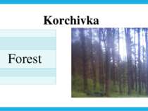 Korchivka Forest