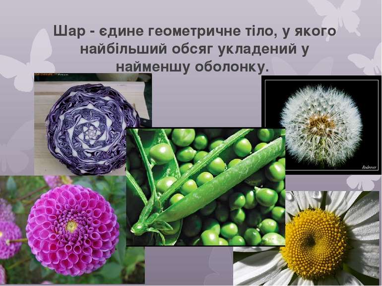 Геометрія і природа. Різні віруси, мають правильну геометричну форму.
