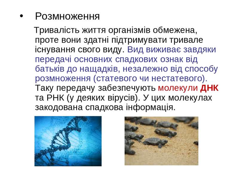 Розмноження Тривалість життя організмів обмежена, проте вони здатні підтримув...