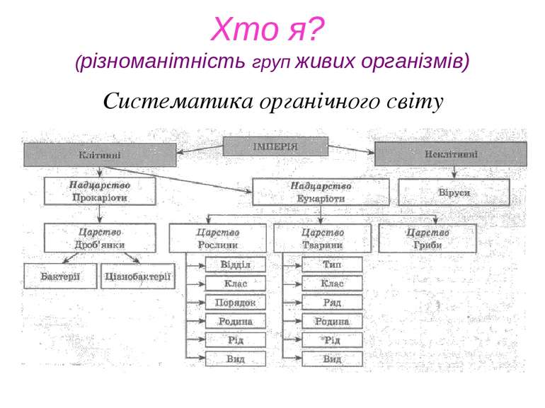 Систематика органічного світу Хто я? (різноманітність груп живих організмів)