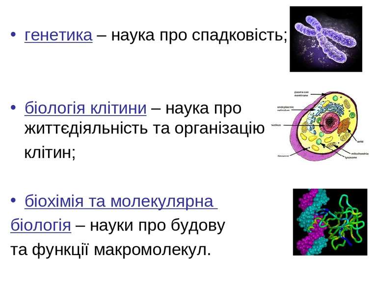 генетика – наука про спадковість; біологія клітини – наука про життєдіяльніст...