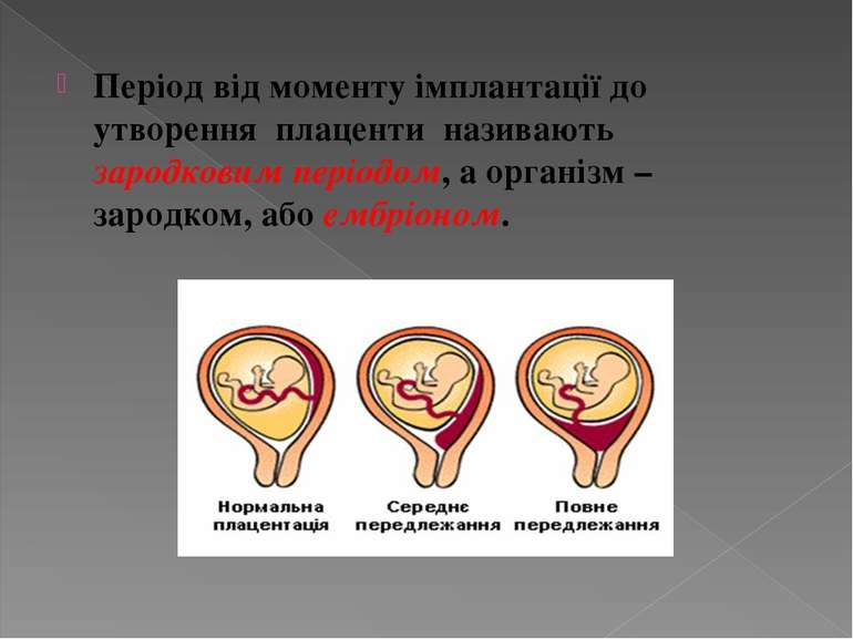 Період від моменту імплантації до утворення плаценти називають зародковим пер...