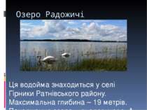 Озеро Радожичі Ця водойма знаходиться у селі Гірники Ратнівського району. Мак...