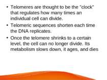 Telomeres are thought to be the "clock" that regulates how many times an indi...