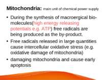 Mitochondria: main unit of chemical power supply During the synthesis of macr...