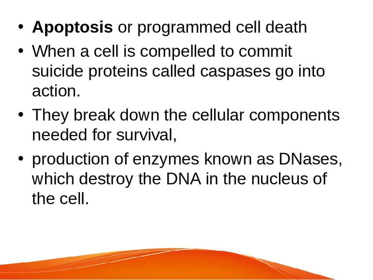 Apoptosis or programmed cell death When a cell is compelled to commit suicide...