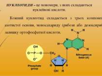 Кожний нуклеотид складається з трьох компонентів – азотистої основи, моносаха...