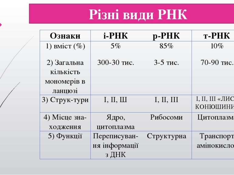 Різні види РНК Ознаки і-РНК р-РНК т-РНК 1) вміст (%) 5% 85% 10% 2) Загальна к...