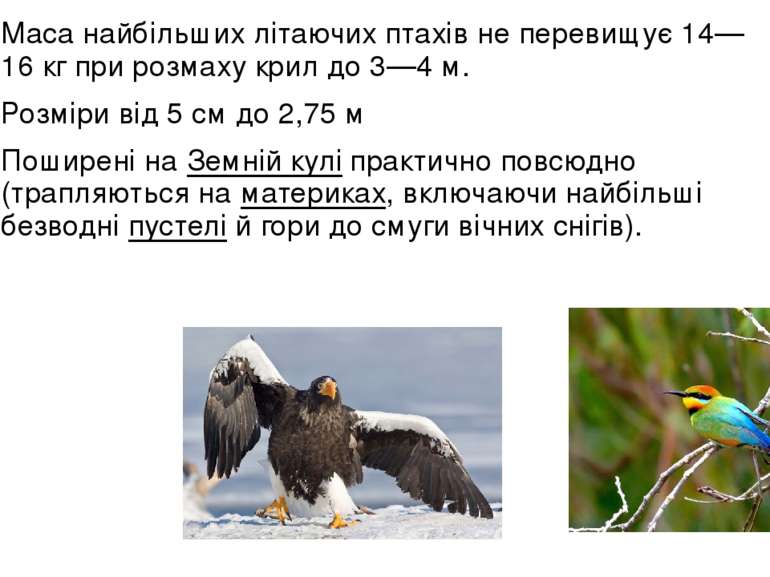 Маса найбільших літаючих птахів не перевищує 14—16 кг при розмаху крил до 3—4...