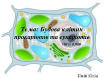 Тема: Будова клітин прокаріотів та еукаріотів Пігій Юлія Пігій Юлія