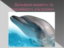 Дельфіни видають та сприймають ультразвук.