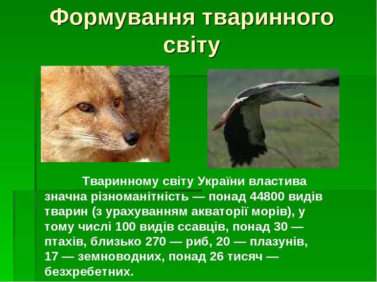 Формування тваринного світу Тваринному світу України властива значна різноман...