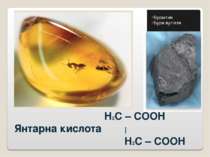 H2C – COOH Янтарна кислота | H2C – COOH Бурштин Буре вугілля