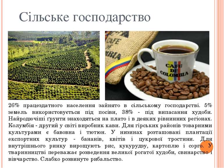 Сільське господарство 26% працездатного населення зайнято в сільському господ...