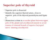 Superior pole is dissected Identify the superior thyroid artery, close to sup...
