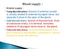 Arterial supply : 1)sup.thyroid artery :branch of external carotid a ,closely...