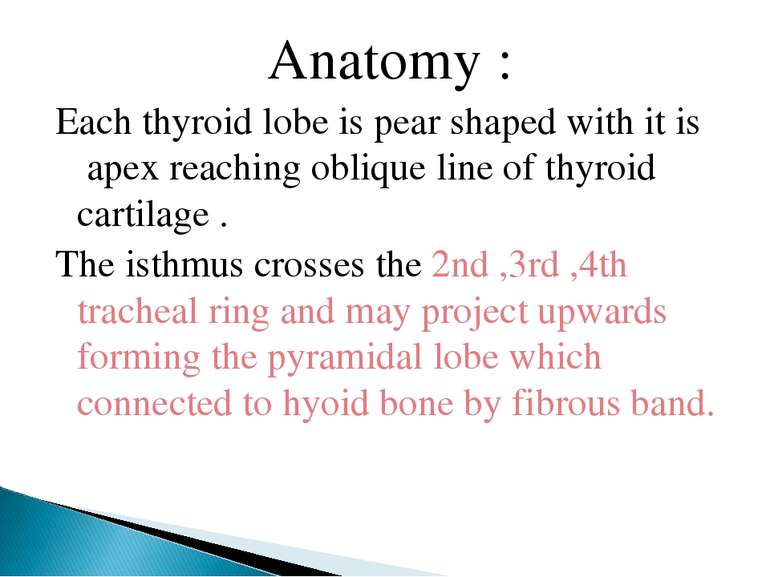 Anatomy : Each thyroid lobe is pear shaped with it is apex reaching oblique l...