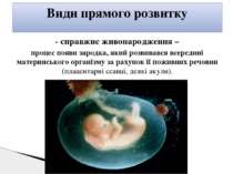 - справжнє живонародження – процес появи зародка, який розвивався всередині м...