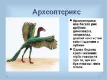Археоптерикс Археоптерикс мав багато рис дрібних динозаврів, наприклад, довги...