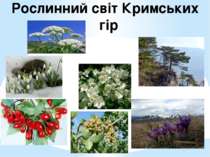 Рослинний світ Кримських гір