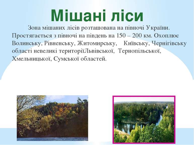Мішані ліси Зона мішаних лісів розташована на півночі України. Простягається ...
