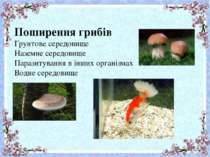 Поширення грибів Грунтове середовище Наземне середовище Паразитування в інших...