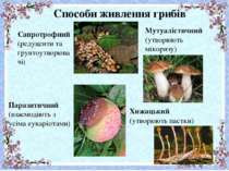 Способи живлення грибів Сапротрофний (редуценти та грунтоутворювачі) Паразити...