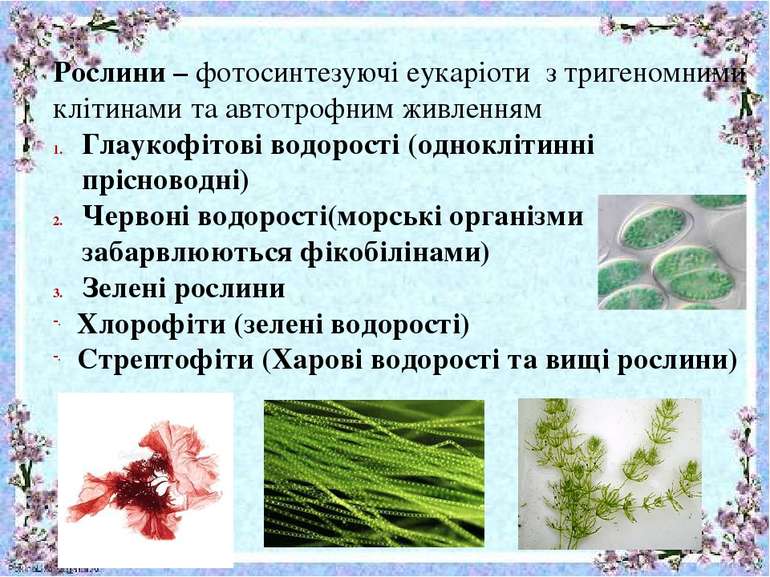 Рослини – фотосинтезуючі еукаріоти з тригеномними клітинами та автотрофним жи...