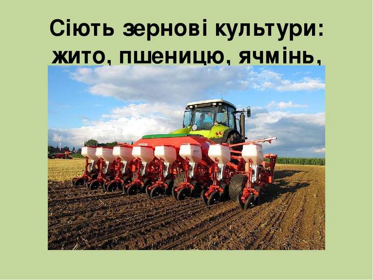 Сіють зернові культури: жито, пшеницю, ячмінь, кукурудзу, овес.