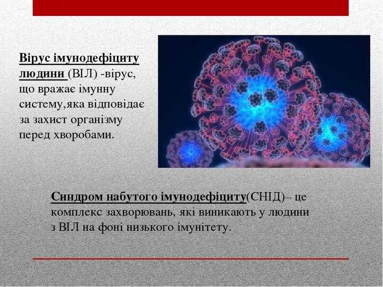 Вірус імунодефіциту людини (ВІЛ) -вірус, що вражає імунну систему,яка відпові...