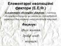 Елементарні еволюційні фактори (Е.Е.Ф.) Елементарні еволюційні фактори – чинн...