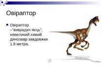 Овіраптор Овіраптор –”викрадач яєць”, невеликий хижий динозавр завдовжки 1.8 ...