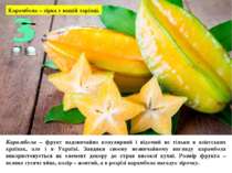 Карамбола – зірка у вашій тарілці. Карамбола – фрукт надзвичайно популярний і...