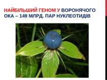 НАЙБІЛЬШИЙ ГЕНОМ У ВОРОНЯЧОГО ОКА – 149 МЛРД. ПАР НУКЛЕОТИДІВ