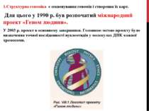 1.Структурна геноміка є секвенування геномів і створення їх карт. Для цього у...