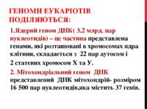 ГЕНОМИ ЕУКАРІОТІВ ПОДІЛЯЮТЬСЯ: 1.Ядернй геном ДНК( 3,2 млрд. пар нуклеотидів)...