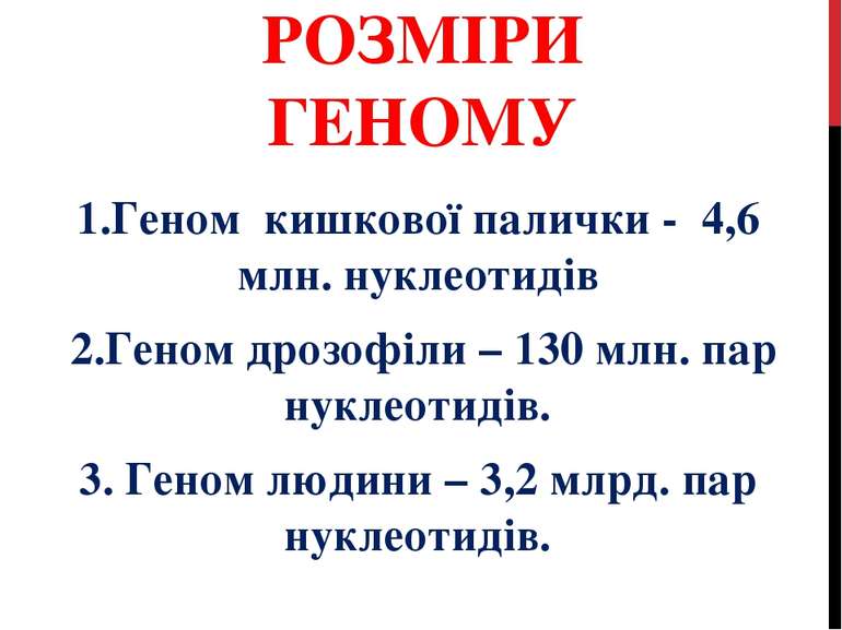 РОЗМІРИ ГЕНОМУ 1.Геном кишкової палички - 4,6 млн. нуклеотидів 2.Геном дрозоф...