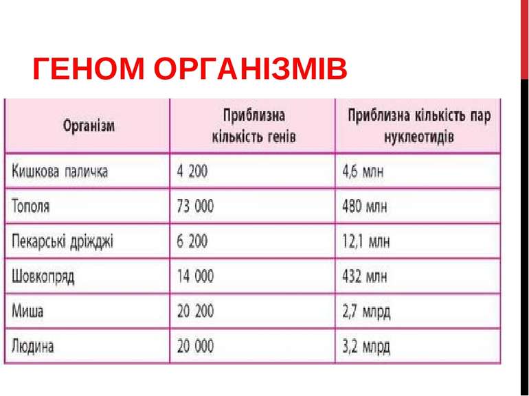 ГЕНОМ ОРГАНІЗМІВ