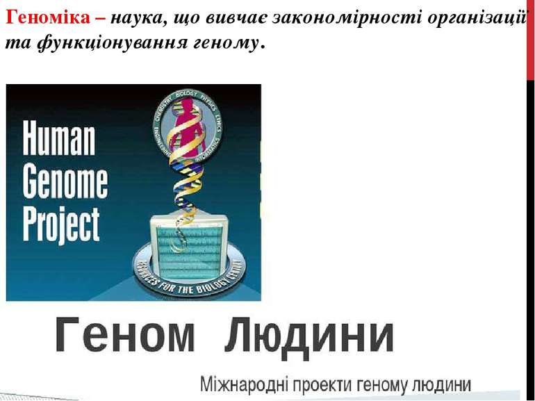 Геноміка – наука, що вивчає закономірності організації та функціонування геному.