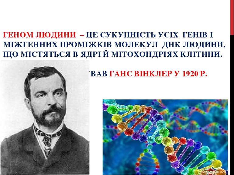 ГЕНОМ ЛЮДИНИ – ЦЕ СУКУПНІСТЬ УСІХ ГЕНІВ І МІЖГЕННИХ ПРОМІЖКІВ МОЛЕКУЛ ДНК ЛЮД...