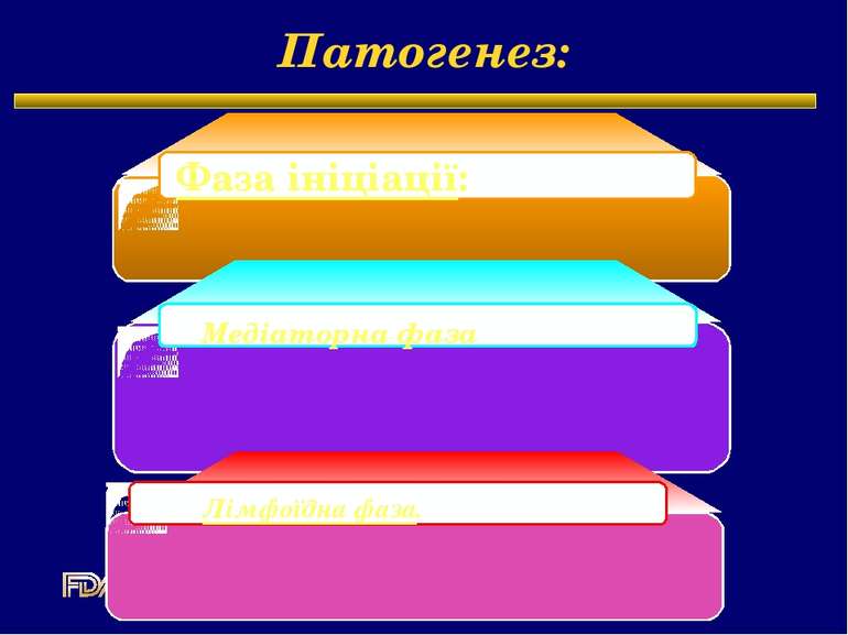 Патогенез: Фаза ініціації: Медіаторна фаза Лімфоїдна фаза. Endocrinologic and...