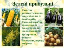 Зелені прибульці Саме так називають рослин, завезені до нас із інших країн. С...